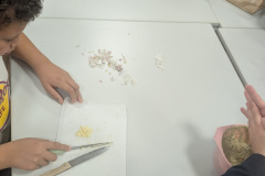 PXL_20251120_145602088