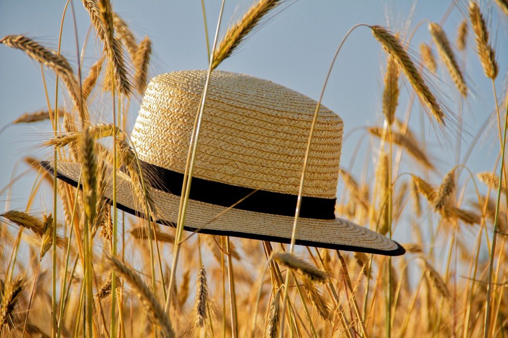 cap, straw hat, summer, grain, spike, summer hat, summer feeling, nature, cap, summer, summer, summer, summer, summer-7278216.jpg
